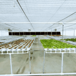 Automatic Plastic Hydroponics Systems